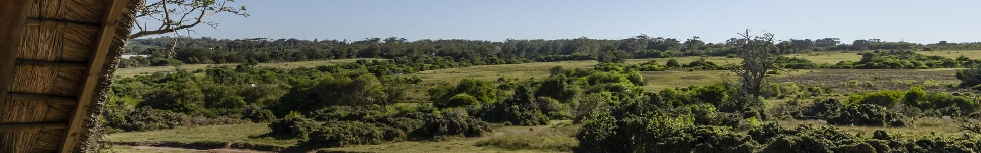 Accommodation - Lodges